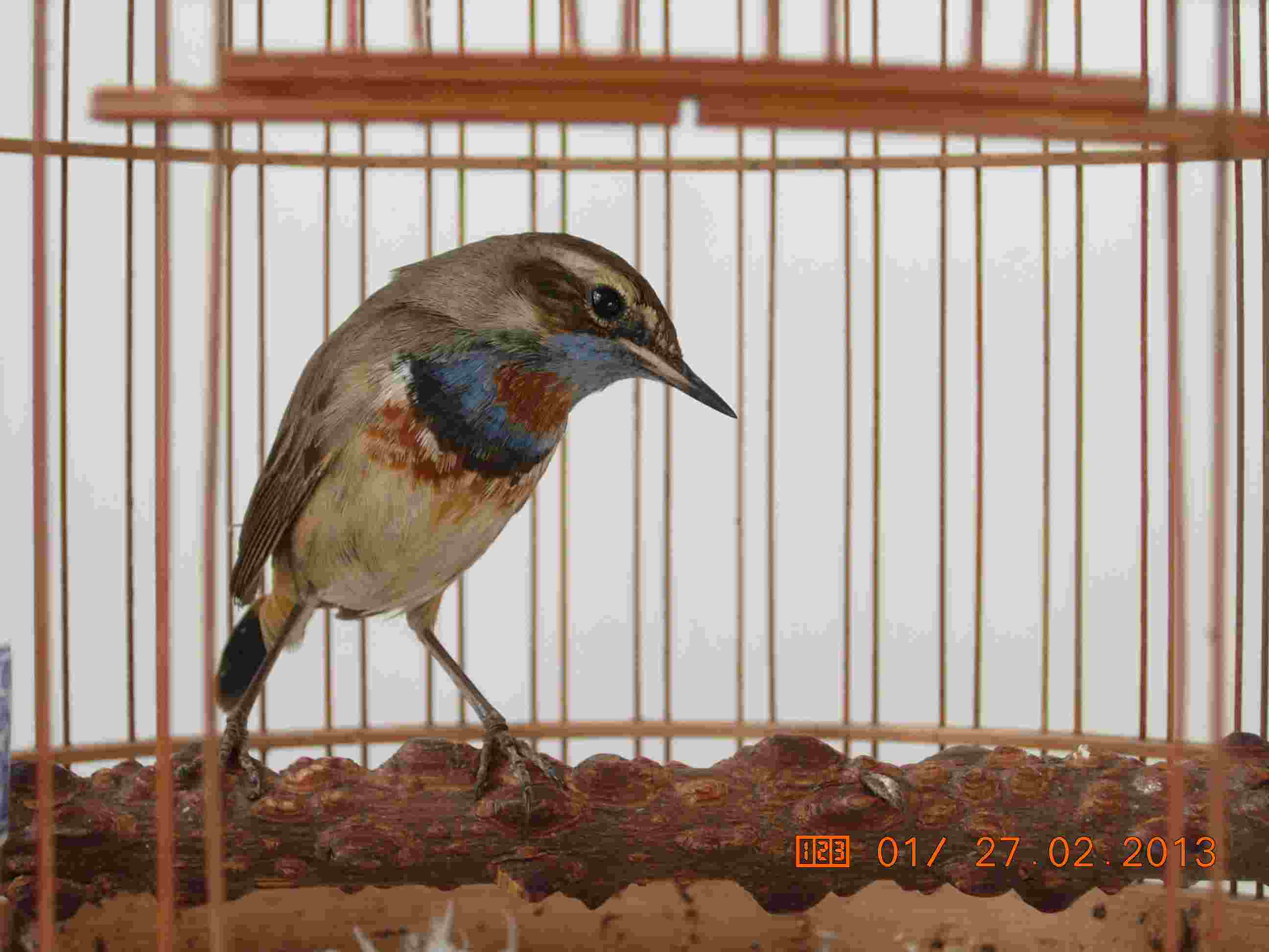DSCN0134.jpg