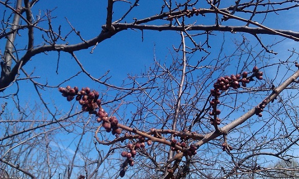 IMAG0629.jpg