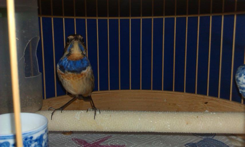 IMAG0598.jpg