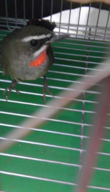 IMAG0065.jpg
