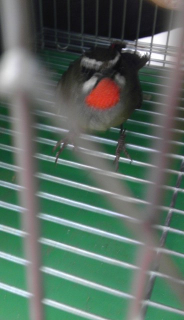 IMAG0066.jpg