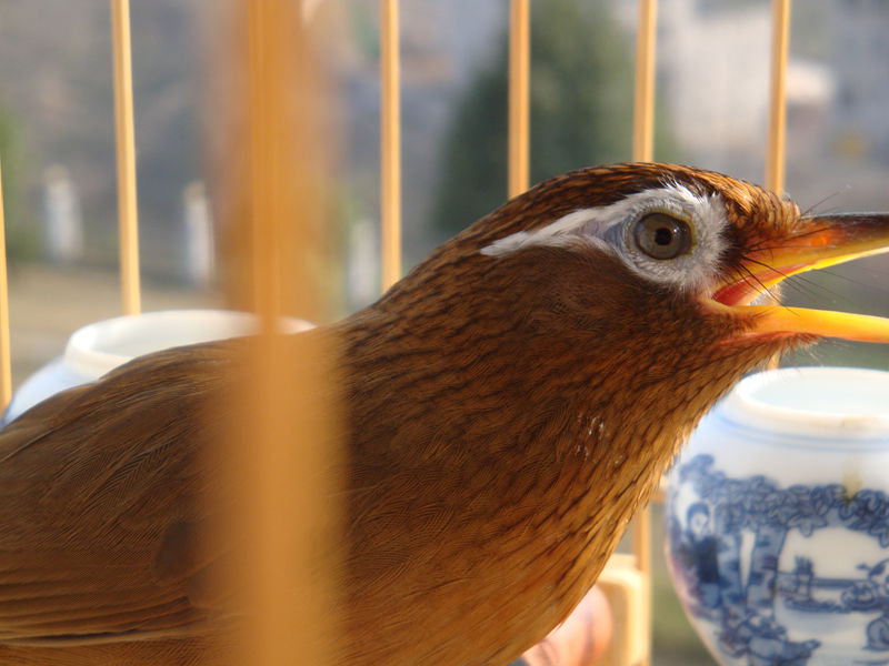DSC07498_副本5.jpg