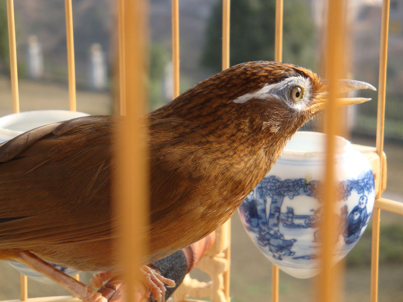 DSC07500_副本7.jpg