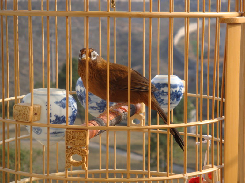 DSC07511_副本8.jpg