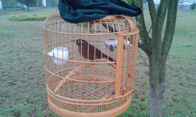 2013-03-27 07.21.38_副本9.jpg