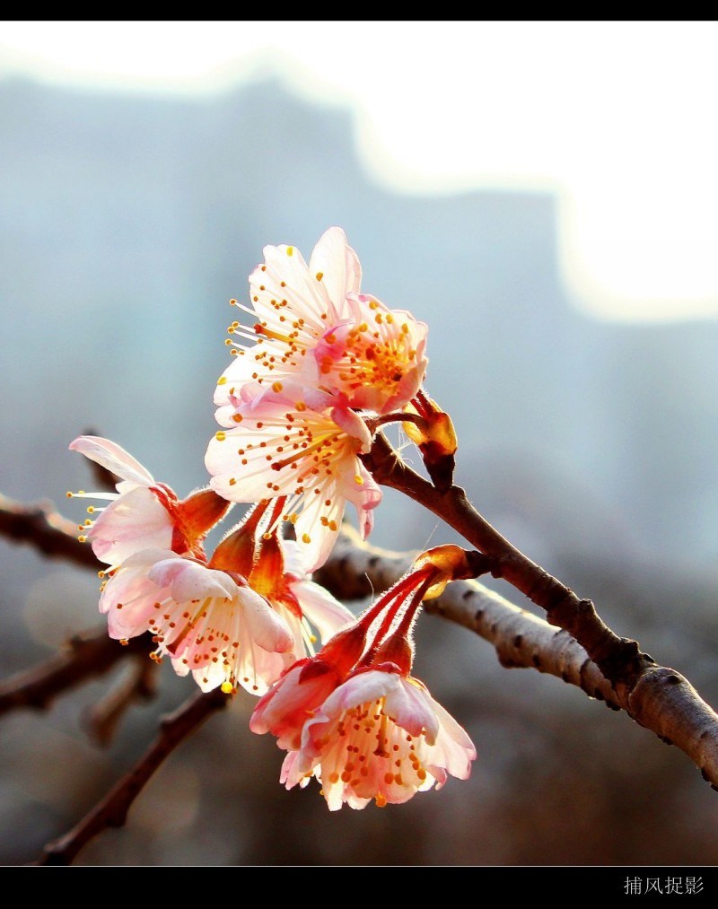 conew_img_7172_conew2.jpg