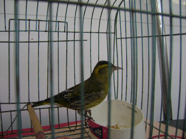 DSC08052.JPG