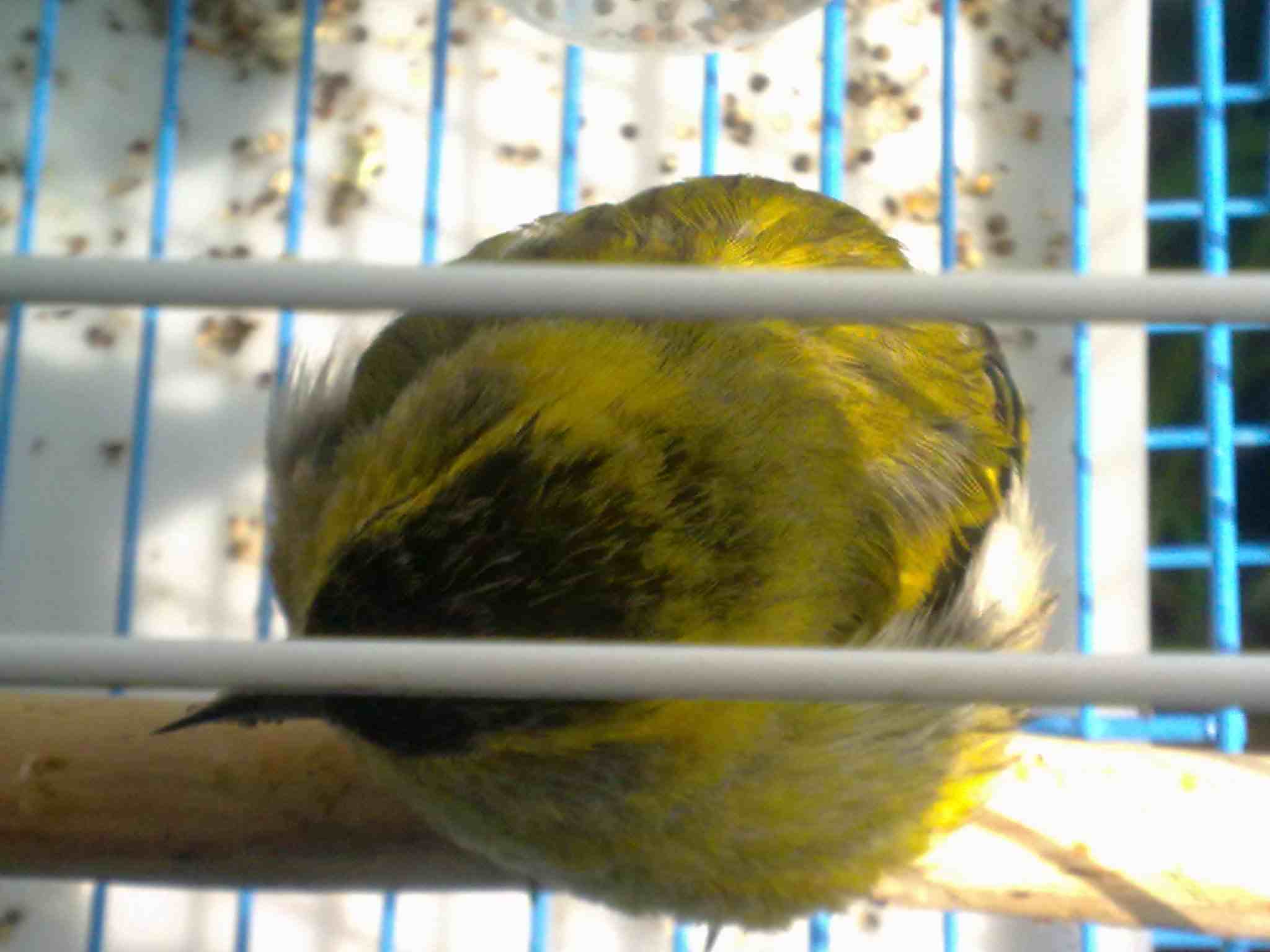 20130321492.jpg