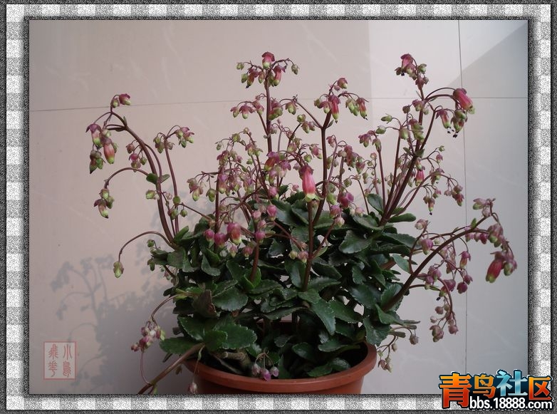 DSCF8562.jpg