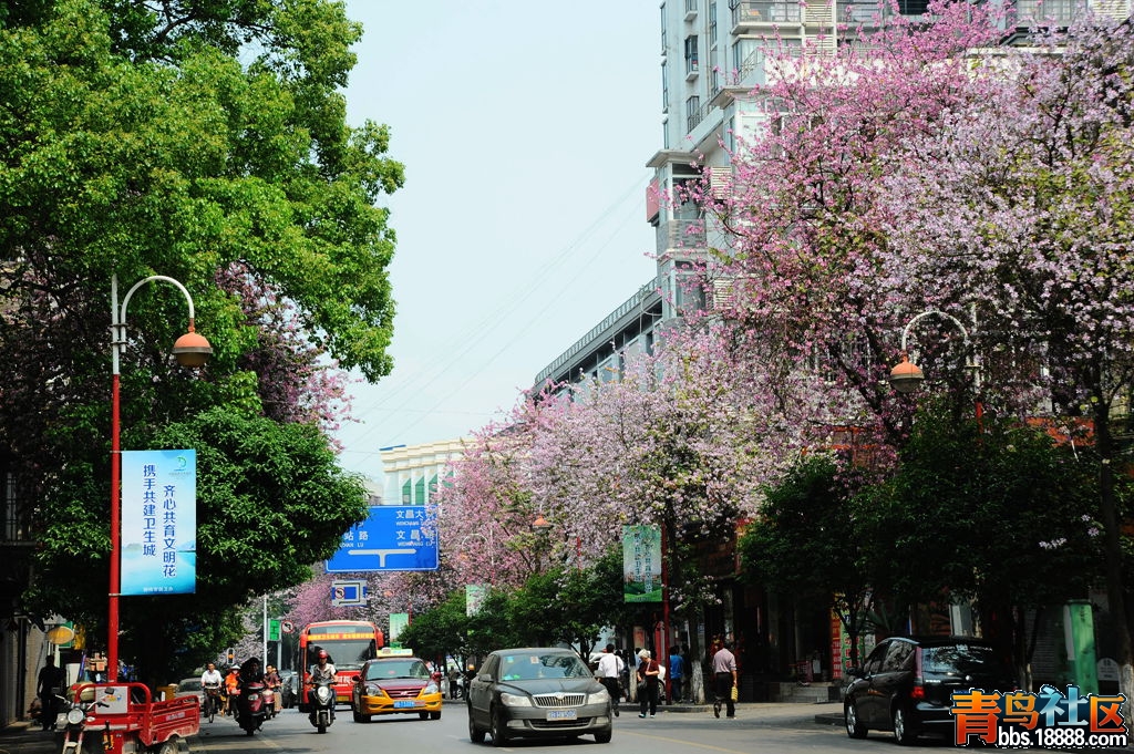 DSC_4754_副本.jpg