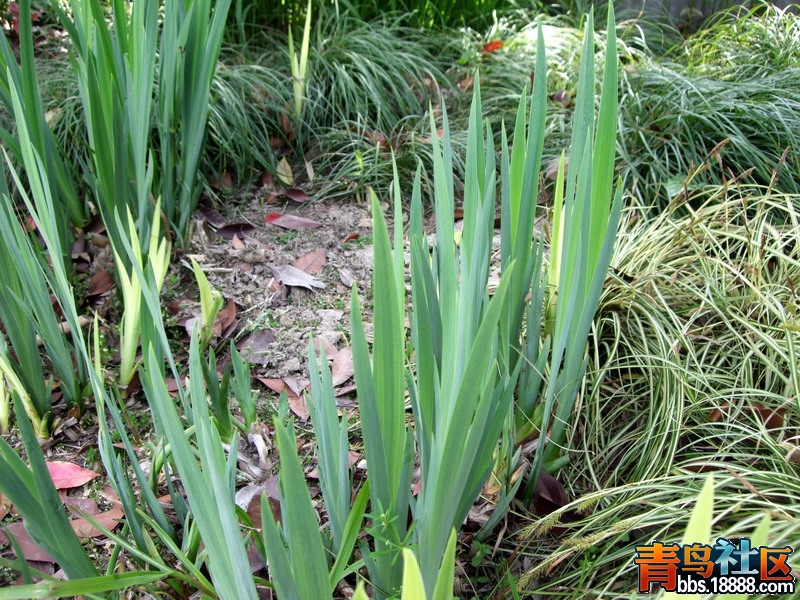 DSCF6444.jpg