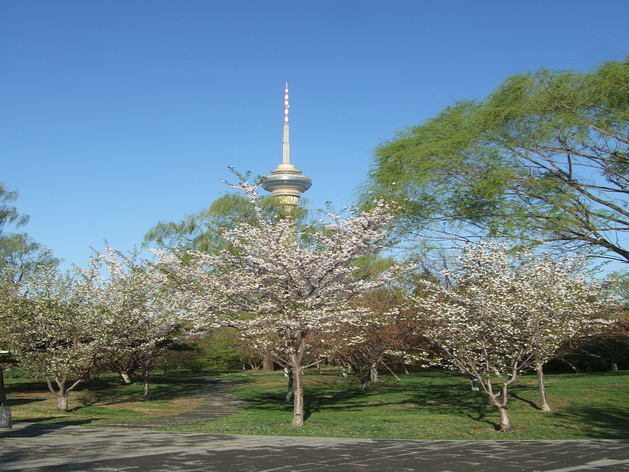 images124_调整大小.jpg