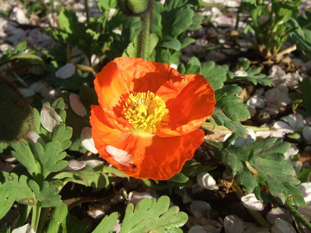 images037_调整大小.jpg