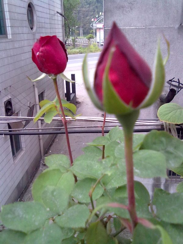 201304161367.jpg
