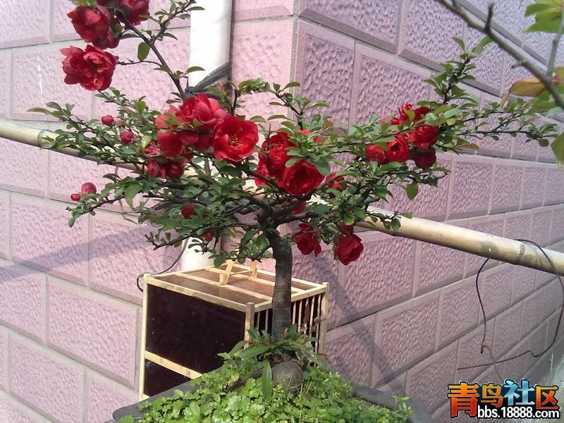 201303311256.jpg