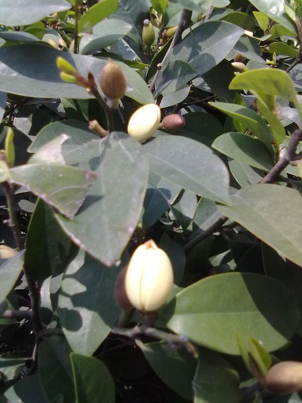 201304021268.jpg