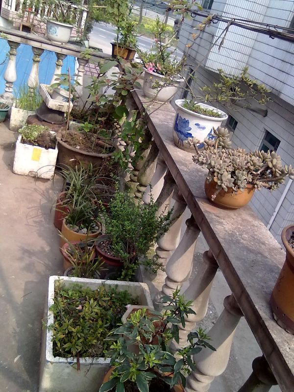 201303311257.jpg