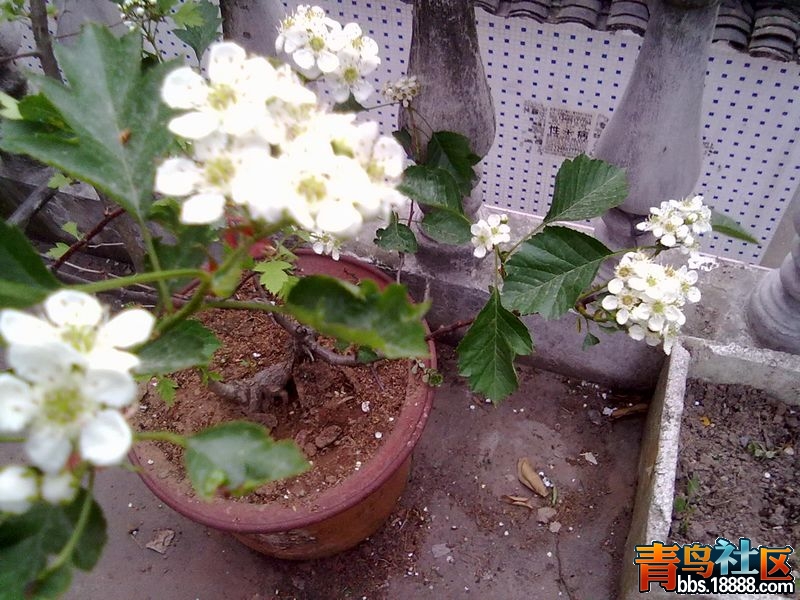 201304161358.jpg