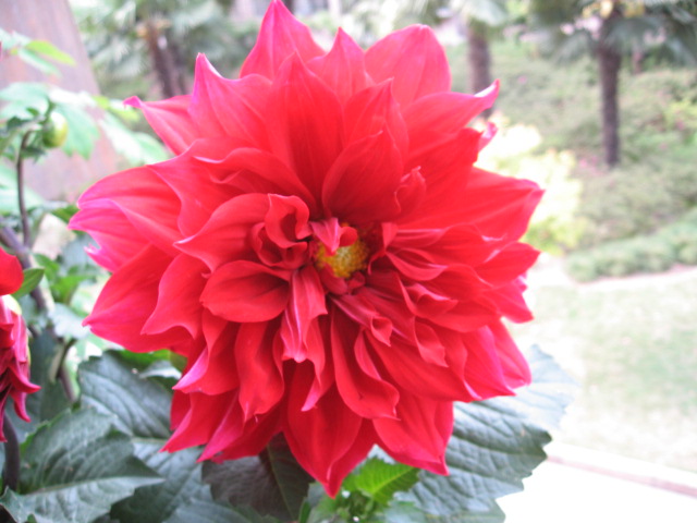 2013-04-19 014.jpg