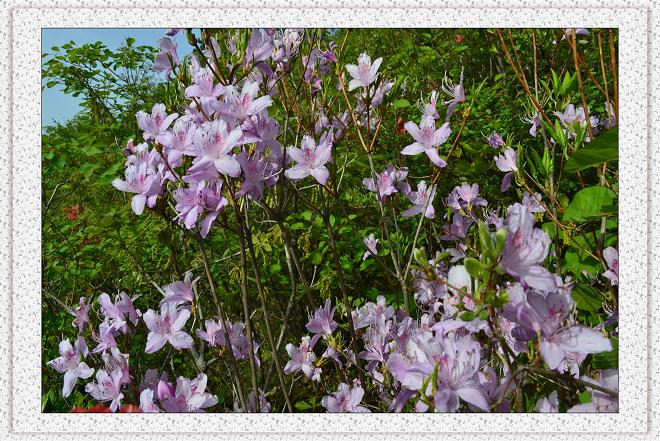 照片 058.jpg