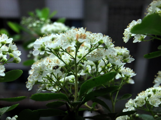 DSCF5910_调整大小.jpg