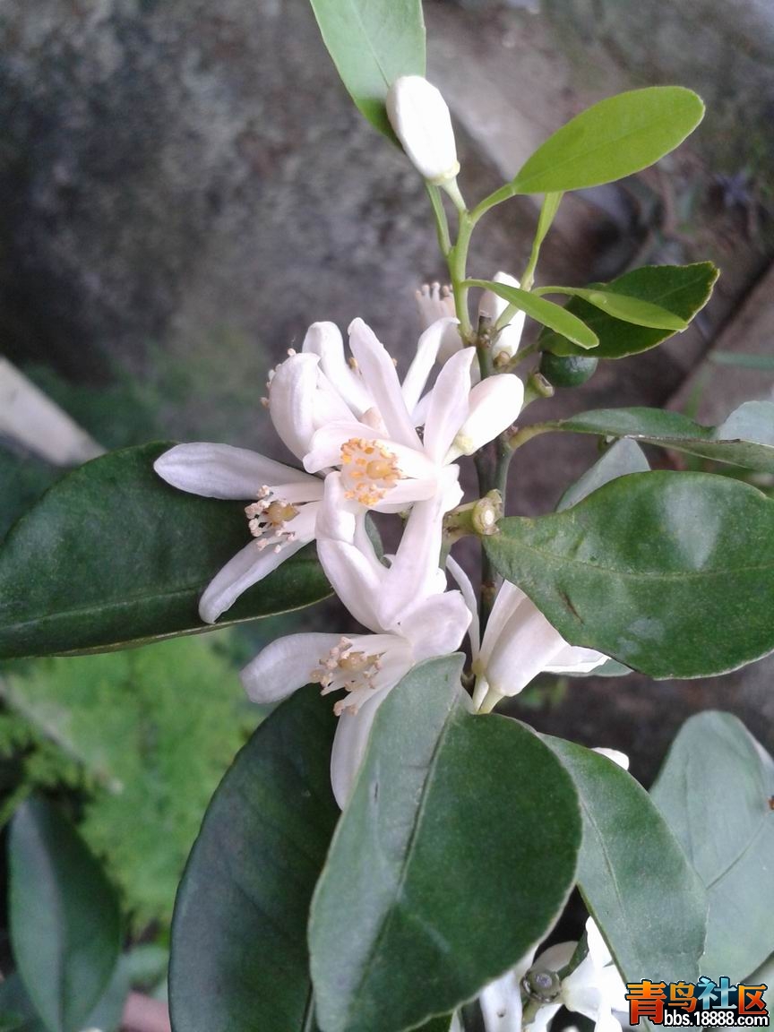 20130409_131403.jpg