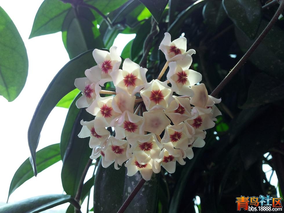 20120704_133344.jpg