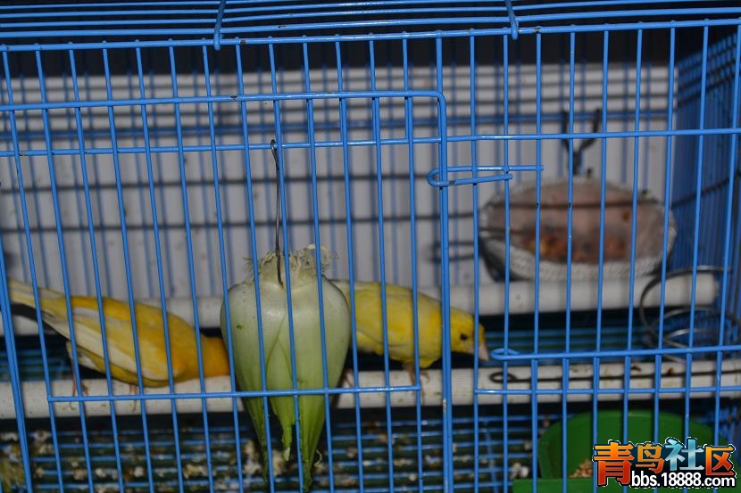 DSC_0020.jpg