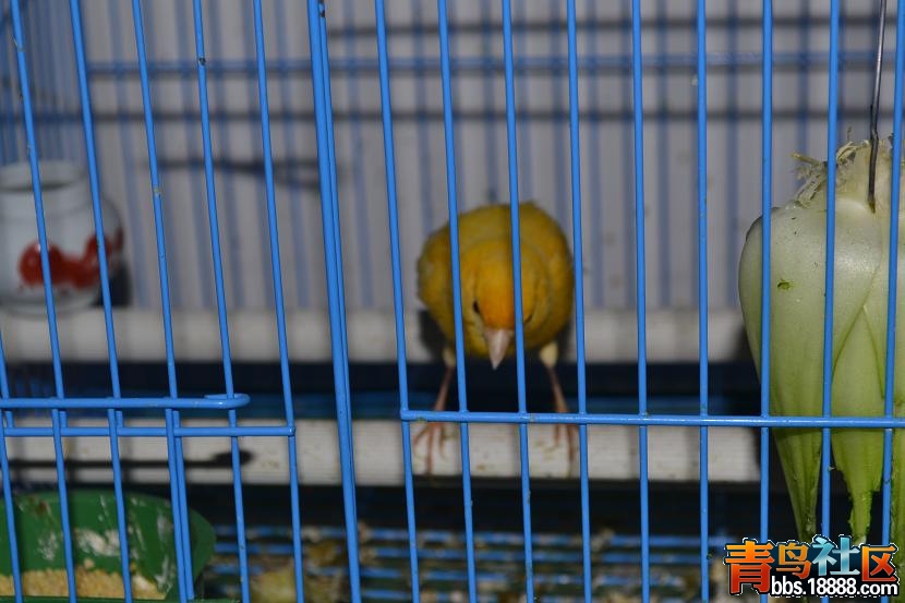 DSC_0021.jpg