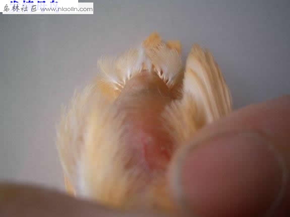 2_8492_7005c27efe75bf7.jpg