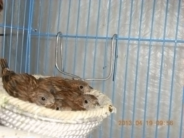 nEO_IMG_nEO_IMG_照片 017.jpg