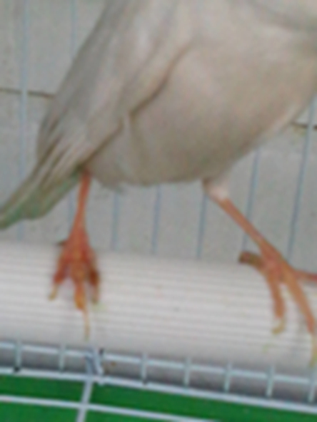 IMG_20130402_152058.jpg
