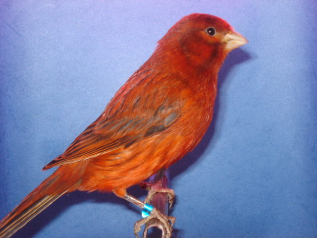 DSC00907.JPG