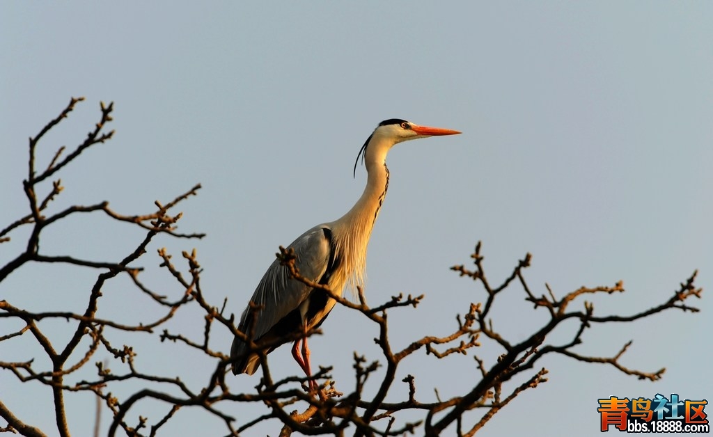 DSC_0211.JPG