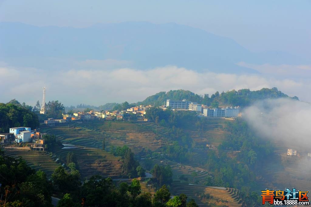 DSC_2445.JPG