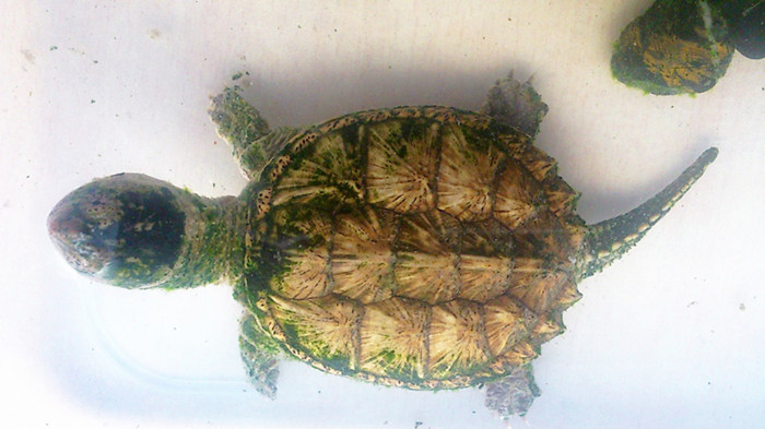 C360_2013-04-04-16-20-56_副本.jpg