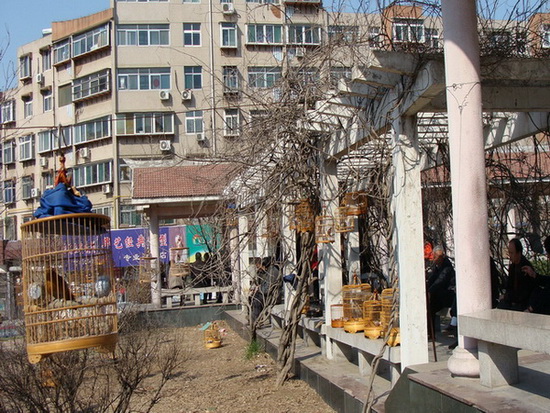 DSC02971.jpg