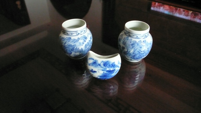 P1100134.JPG
