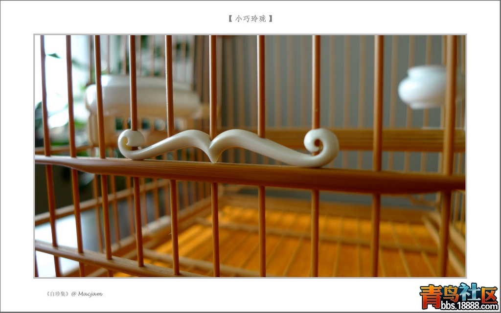 nEO_IMG_L1130079.jpg