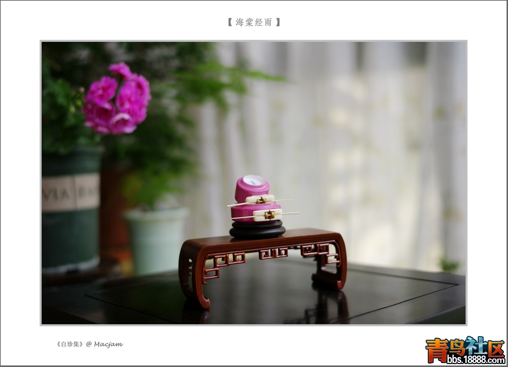 nEO_IMG_L1000165.jpg