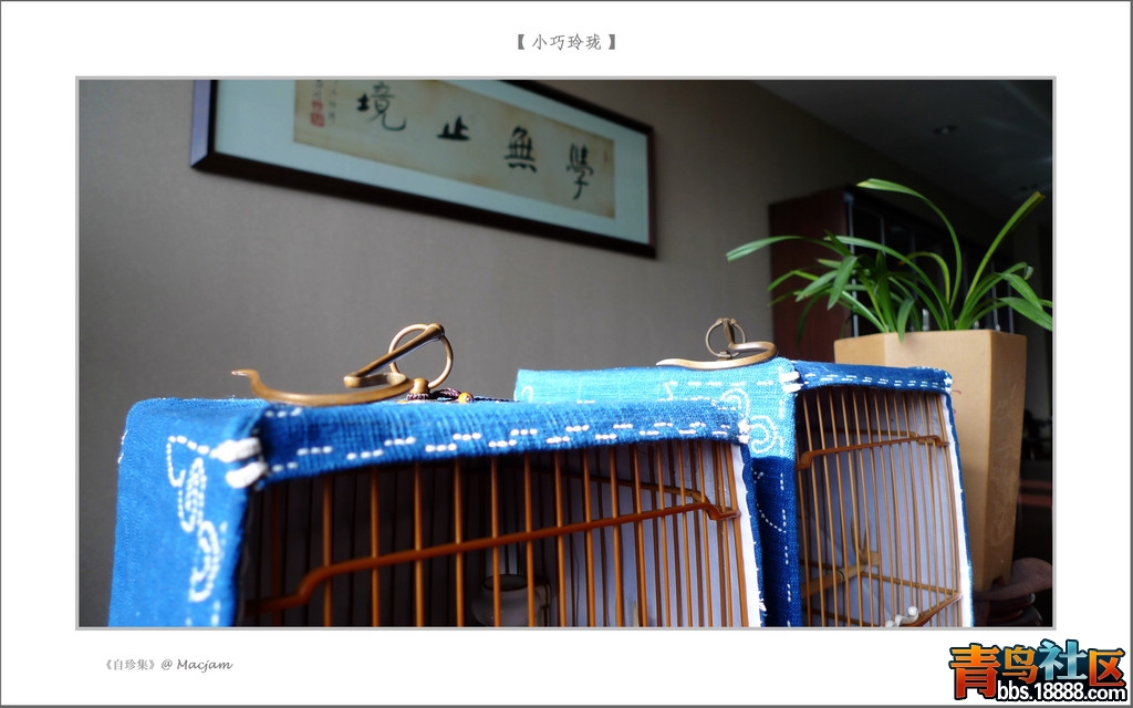 nEO_IMG_L1130152.jpg