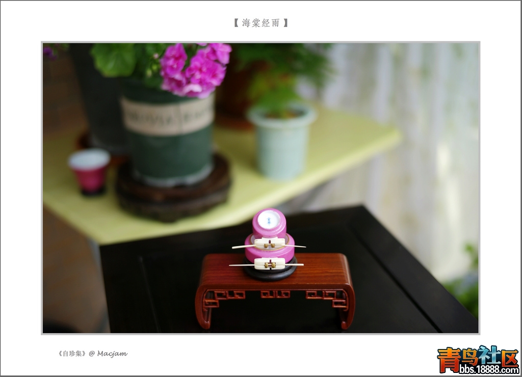 nEO_IMG_L1000164.jpg