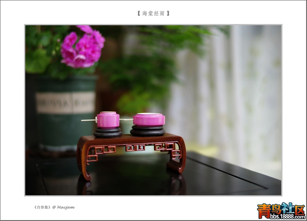 nEO_IMG_L1000160.jpg