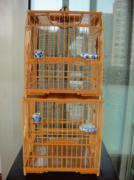 DSC03504_副本.jpg