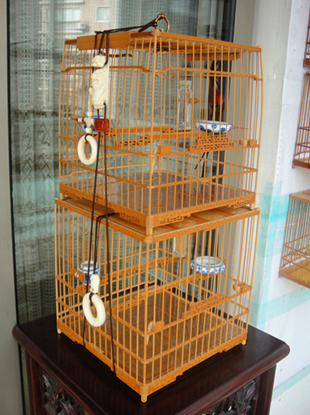 DSC03505_副本.jpg