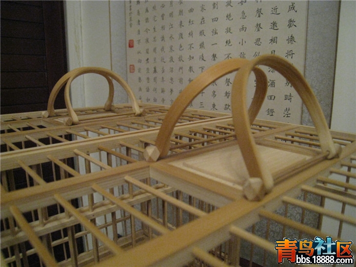 照片 041.jpg