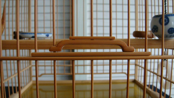 DSC04887_调整大小.JPG