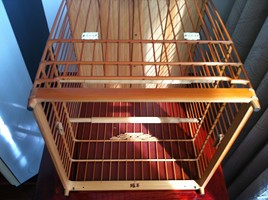 IMG_0038 (复制).jpg