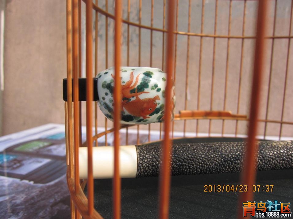 IMG_1987A.JPG