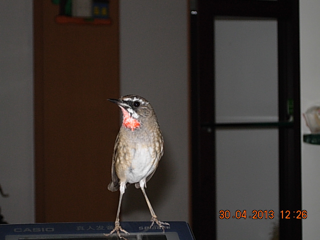 DSCN2187.JPG